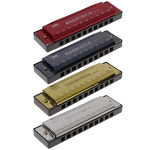 10 Holes Key of Blues Harmonica Musical Instrument