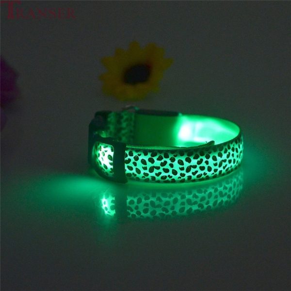 Glow in the Dark Dog Collar Leopard Print