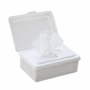 INOMATA Multifunctional Dustproof Face Mask Mask Storage Box Wet Wipes Desktop Storage Box Office Home Supplies