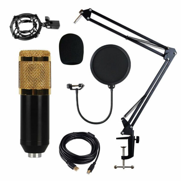 BM-828 Adjustable Studio Mic USB Condenser Sound Recording Microphone With Stand for Live Broadcast Podcasting