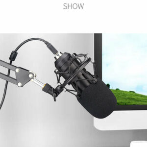 BM700 Professional Condenser Audio 3.5mm Wired Studio Microphone Vocal Recording KTV Karaoke Microphone for PC Karaoke Youtube Professional Recording Broadcast Mikrofon with Stand