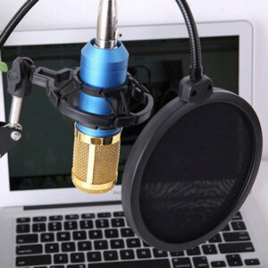 Double Layer Condenser Microphone Blowout Cover Host Singer Studio Windproof Net