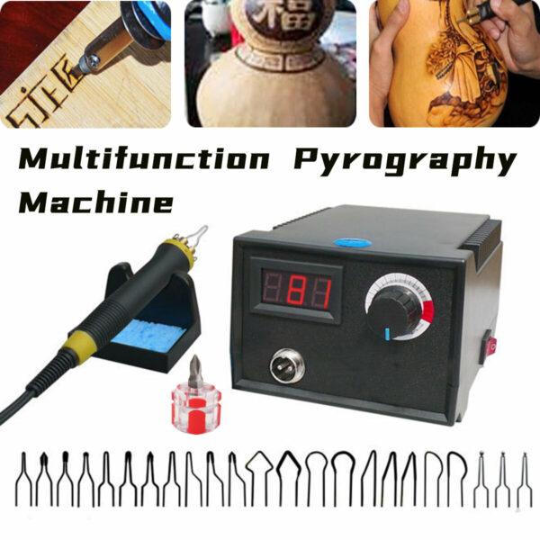 110V/220V Digital Multifunction Pyrography Machine Gourd Wood Pyrography Crafts