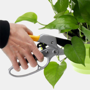 Pruning Shear Cutter Garden Nursery Fruit Trees Scissor Grafting Cutting Steel Tools