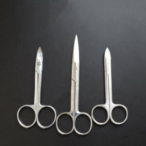 Stainless Steel Scissors Stitch Removal Scissors Tissue Scissors Curved Nozzle Straight Nose Welding Piece Scissors Jewelry Equipment