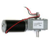 12V 160rpm Reduction Motor Worm Gear Double Shaft DC Motor Cear-box Motor